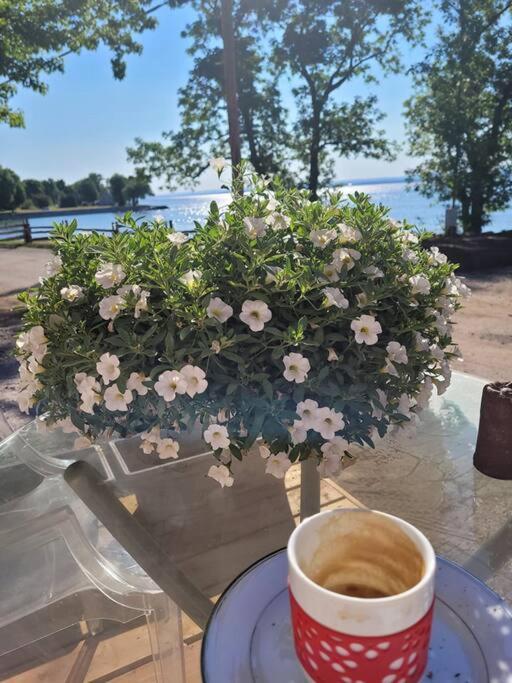 Om Chalet 1 Avec Spa Face Au Fleuve Saint-Jean 外观 照片